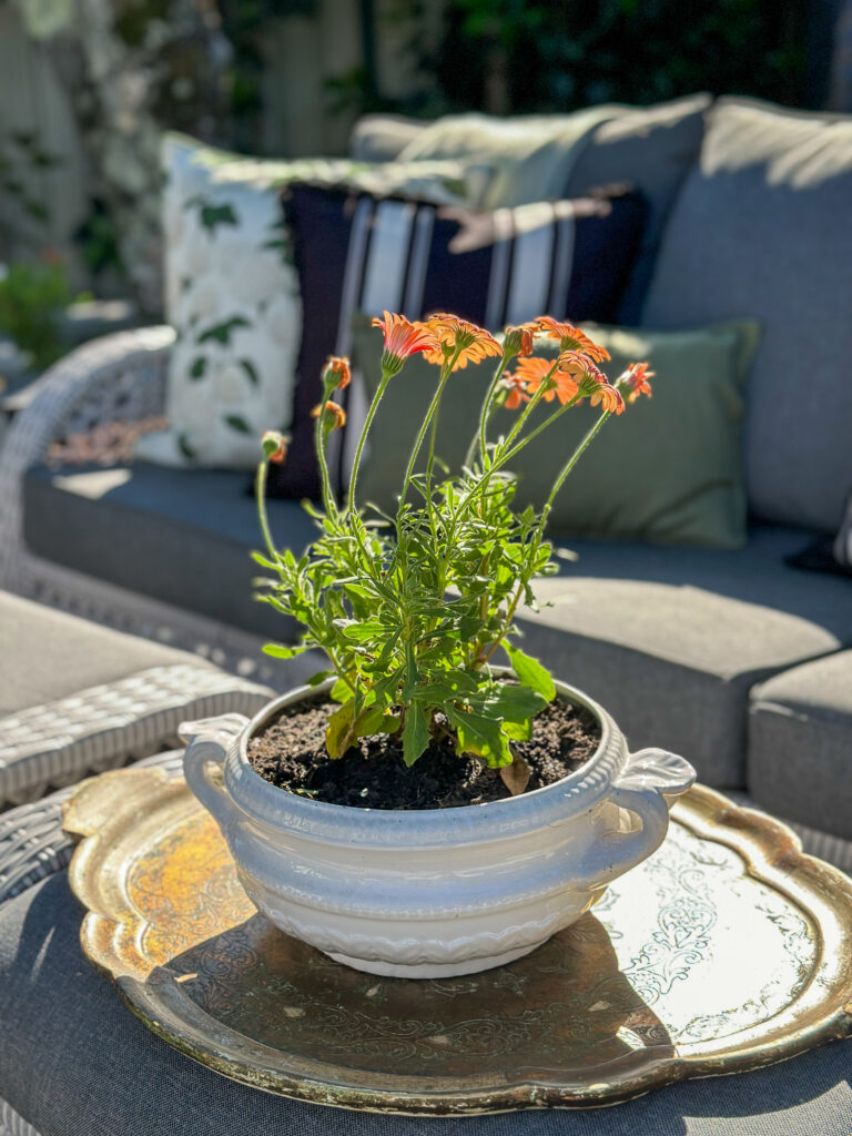 Secret Garden backyard makeover