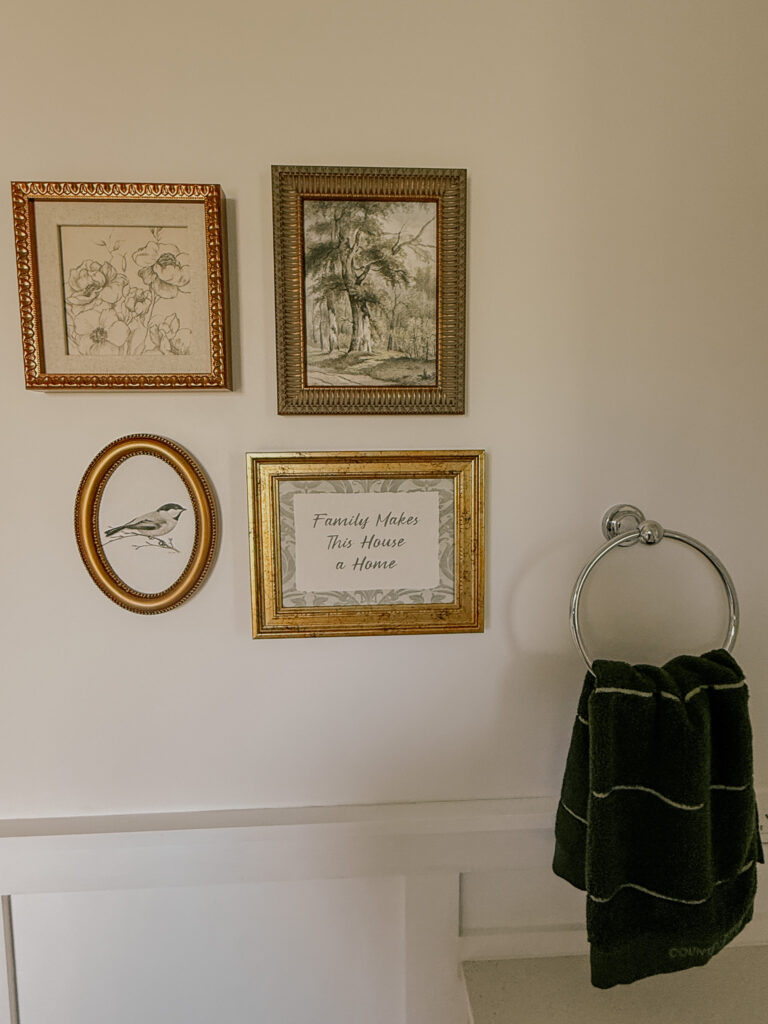 Master Bathroom Remodel