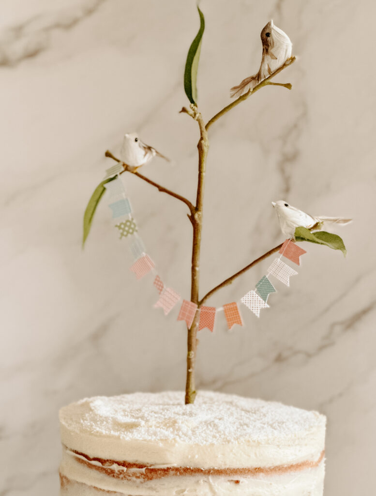 Packet Cake