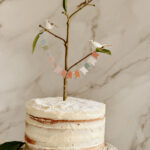 Packet Cake